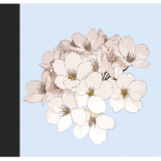 Floral Swirl Aari Tracing Floral Swirl Aari Tracing