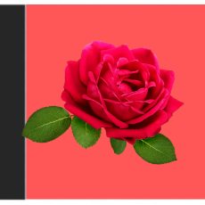 Rose Garden Aari Tracing Rose Garden Aari Tracing