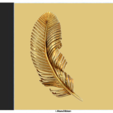 Feather Flow Aari Tracing Feather Flow Aari Tracing